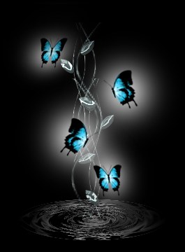 papillon